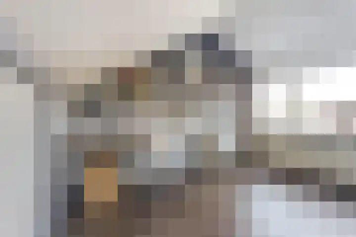 Constantijn Huygensstraat 4 Kesteren thumbnail 29