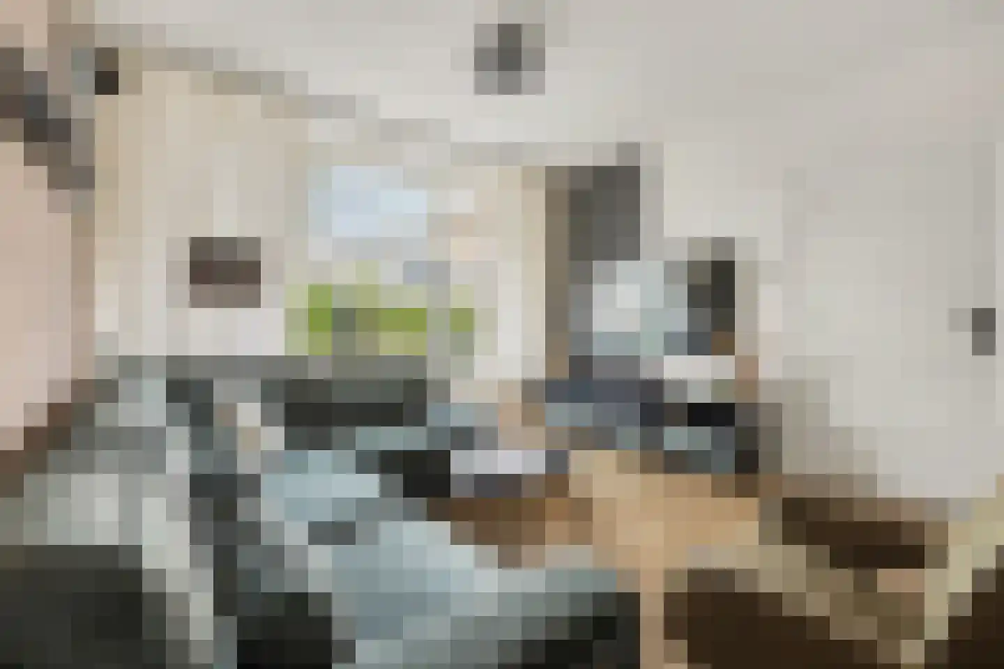 Constantijn Huygensstraat 4 Winterswijk thumbnail 11