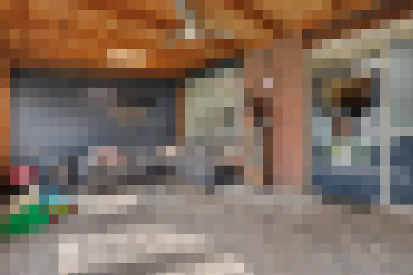 Constantijn Huygensstraat 4 Winterswijk thumbnail 29