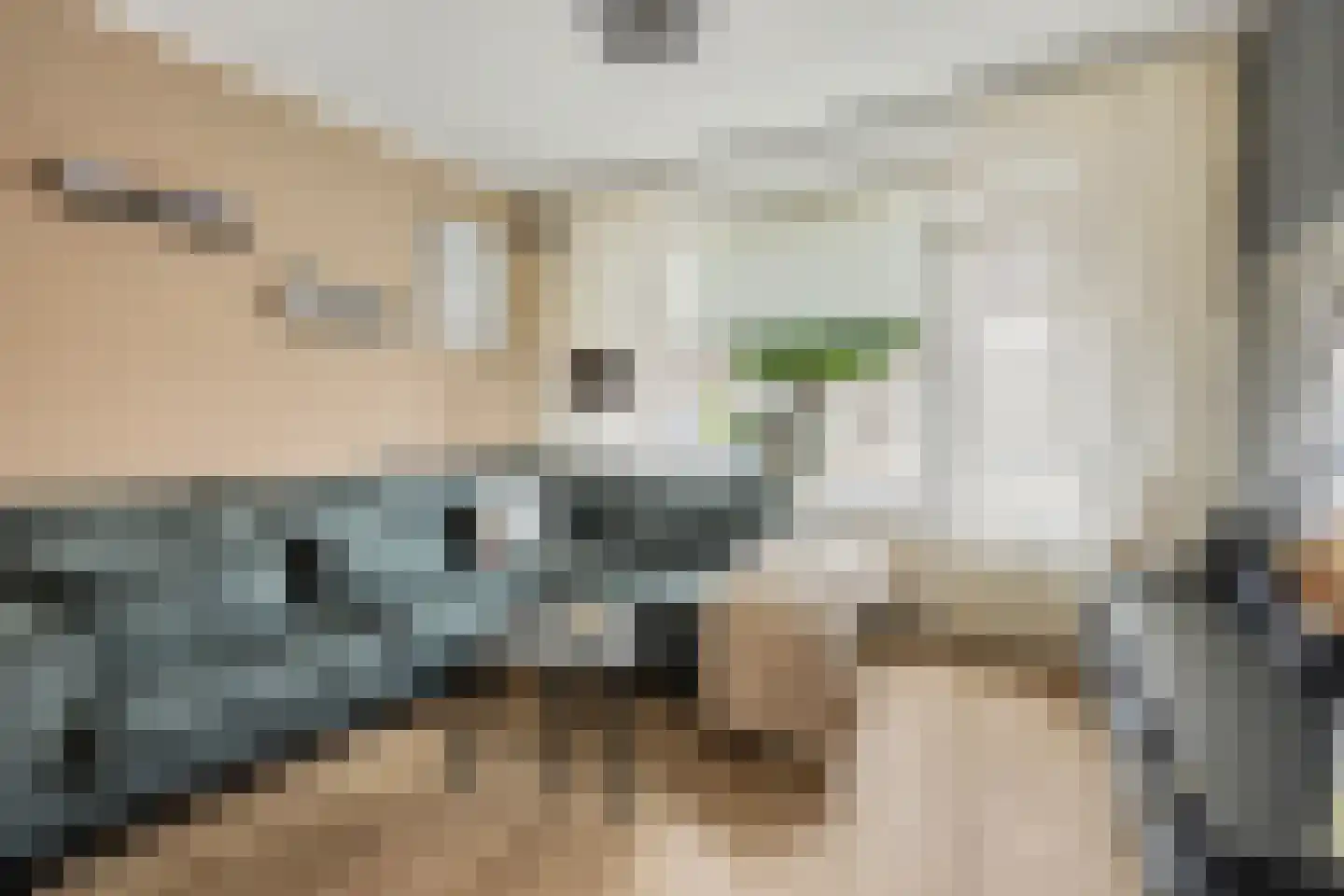 Constantijn Huygensstraat 4 Winterswijk thumbnail 9