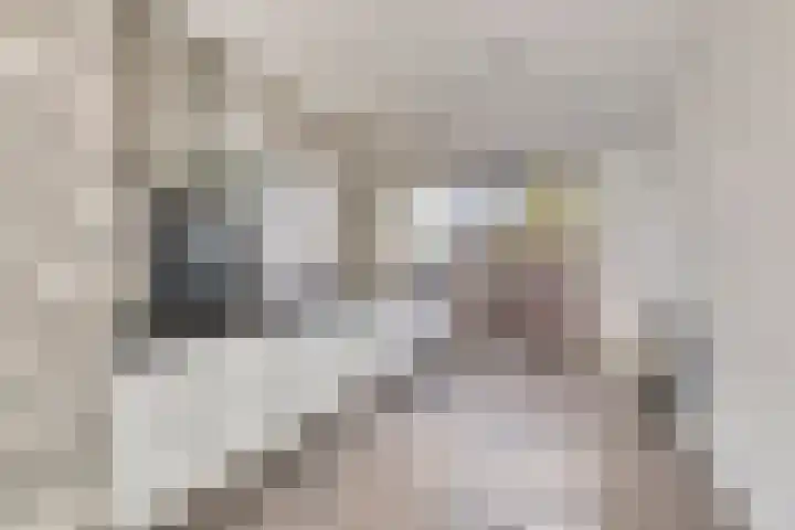 Constantijn Huygensstraat 47 Capelle aan den IJssel thumbnail 12