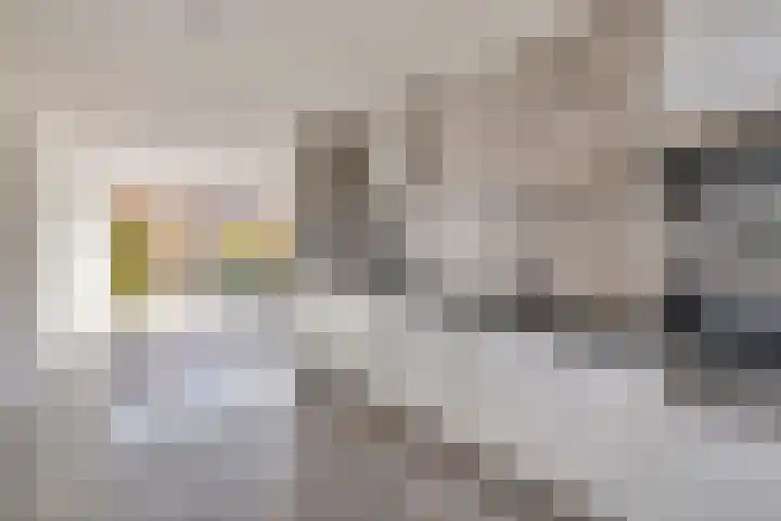 Constantijn Huygensstraat 47 Capelle aan den IJssel thumbnail 14