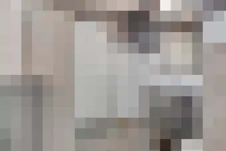 Constantijn Huygensstraat 47 Capelle aan den IJssel thumbnail 21
