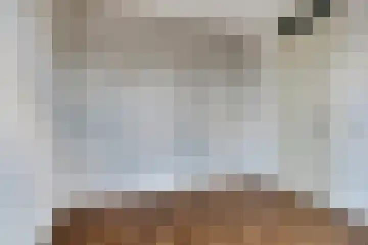 Constantijn Huygensstraat 47 Capelle aan den IJssel thumbnail 24