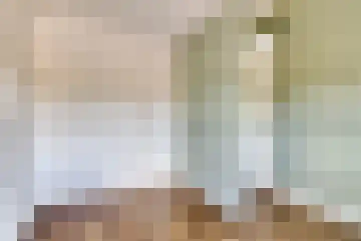 Constantijn Huygensstraat 47 Capelle aan den IJssel thumbnail 30