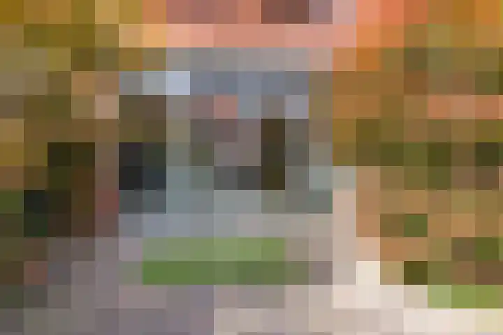 Constantijn Huygensstraat 47 Capelle aan den IJssel thumbnail 34