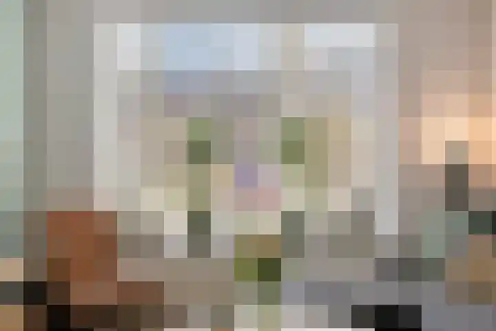 Constantijn Huygensstraat 49 Deventer thumbnail 5