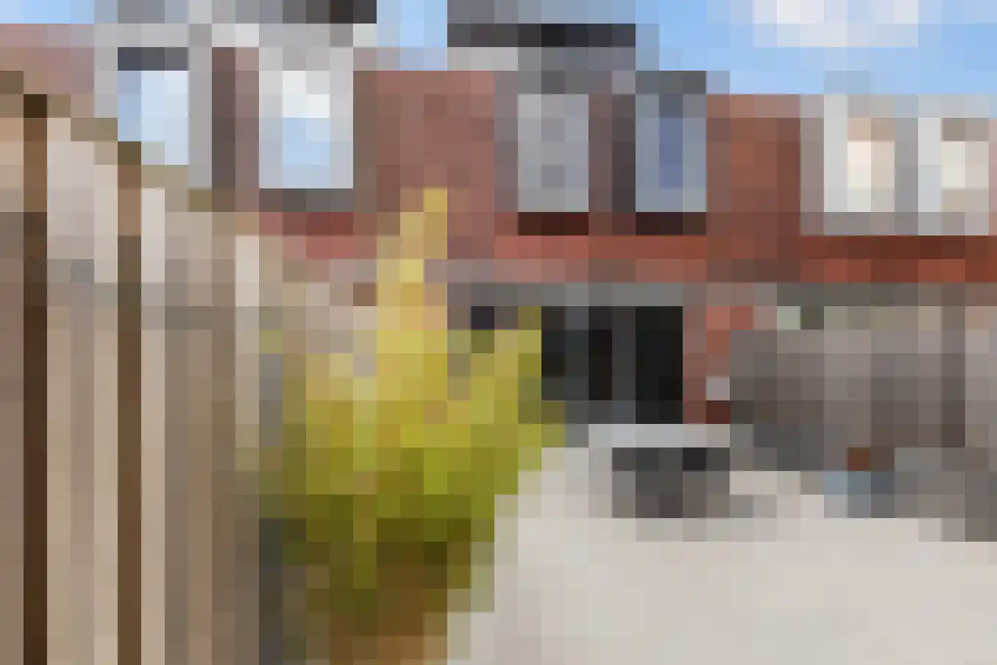 Constantijn Huygensstraat 54 Capelle aan den IJssel thumbnail 10