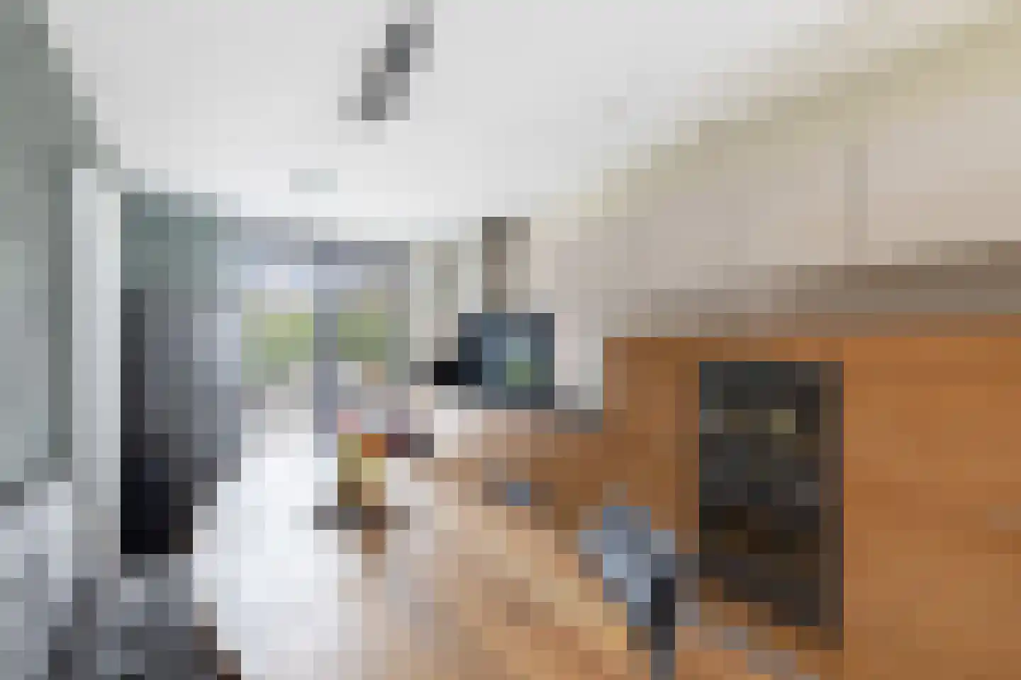 Constantijn Huygensstraat 54 Capelle aan den IJssel thumbnail 18