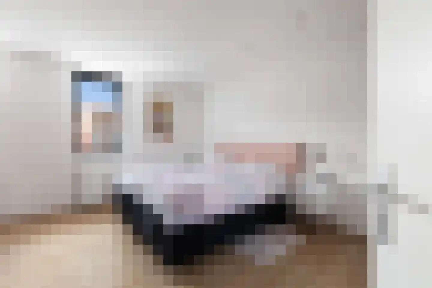 Constantijn Huygensstraat 54 Capelle aan den IJssel thumbnail 26