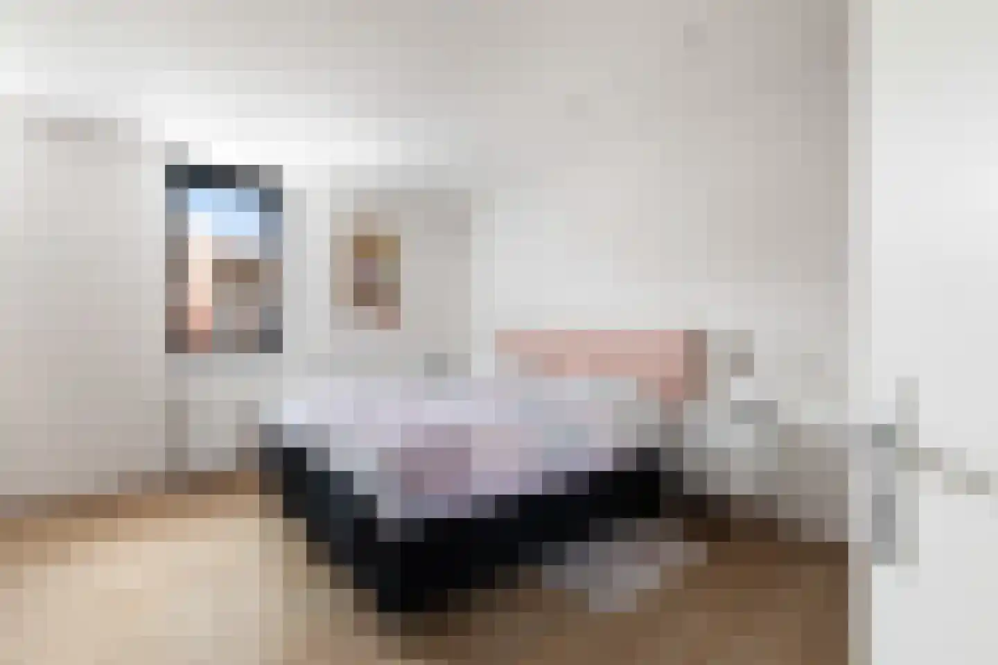 Constantijn Huygensstraat 54 Capelle aan den IJssel thumbnail 28