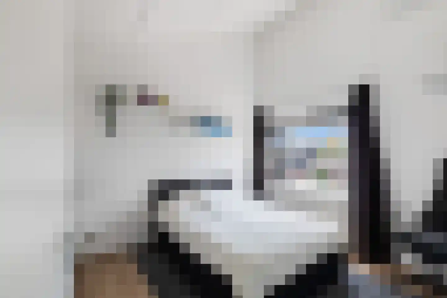 Constantijn Huygensstraat 54 Capelle aan den IJssel thumbnail 33