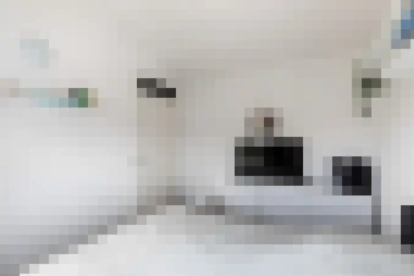 Constantijn Huygensstraat 54 Capelle aan den IJssel thumbnail 35