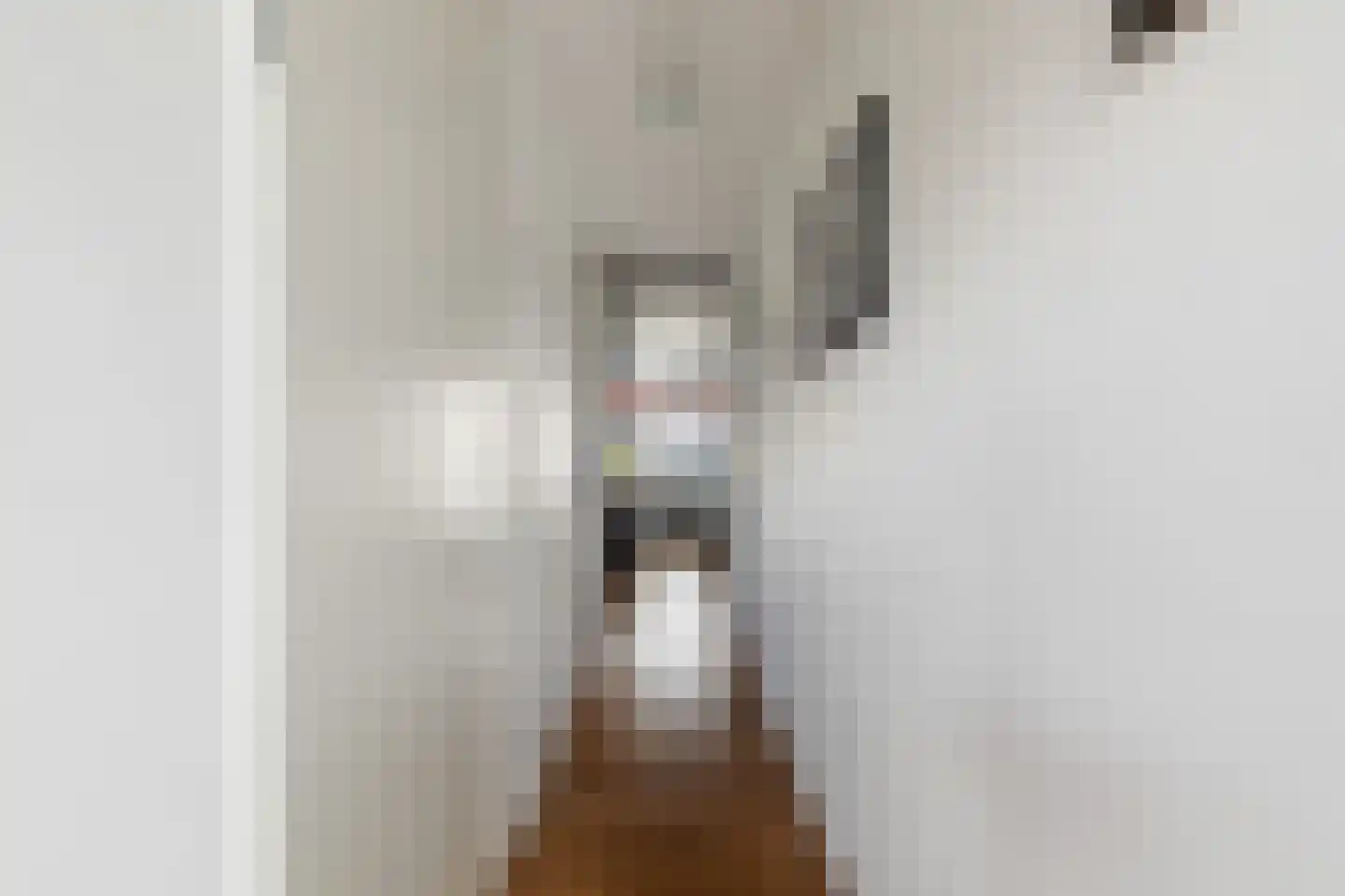 Constantijn Huygensstraat 54 Capelle aan den IJssel thumbnail 45