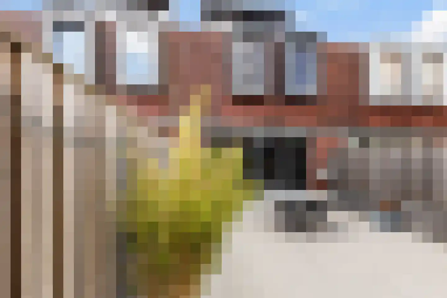 Constantijn Huygensstraat 54 Capelle aan den IJssel thumbnail 8