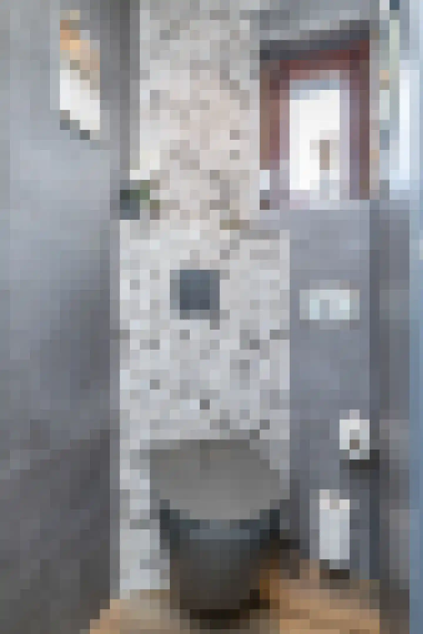 Constantijn Huygensstraat 55 Brunssum thumbnail 17