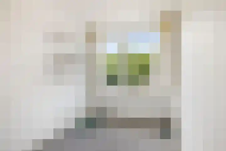 Constantijn Huygensstraat 56 Deventer thumbnail 13