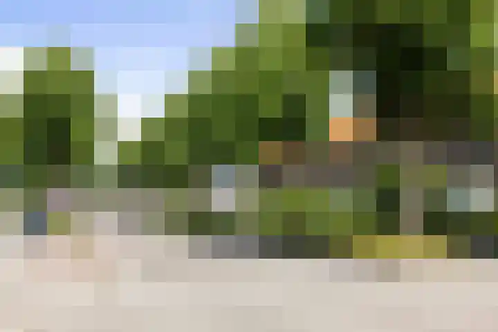 Constantijn Huygensstraat 56 Deventer thumbnail 15