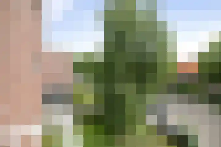 Constantijn Huygensstraat 56 Deventer thumbnail 8