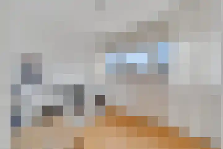 Constantijn Huygensstraat 62 Nijverdal thumbnail 20