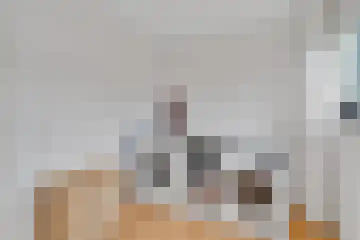 Constantijn Huygensstraat 62 Nijverdal thumbnail 21