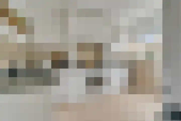 Constantijn Huygensstraat 62 Nijverdal thumbnail 6