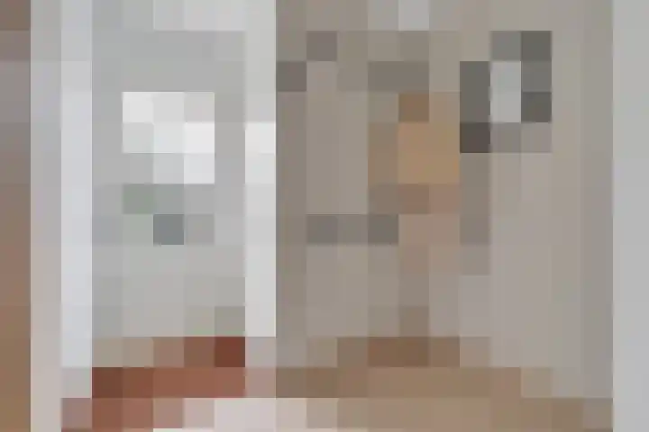 Constantijn Huygensstraat 62 Nijverdal thumbnail 9