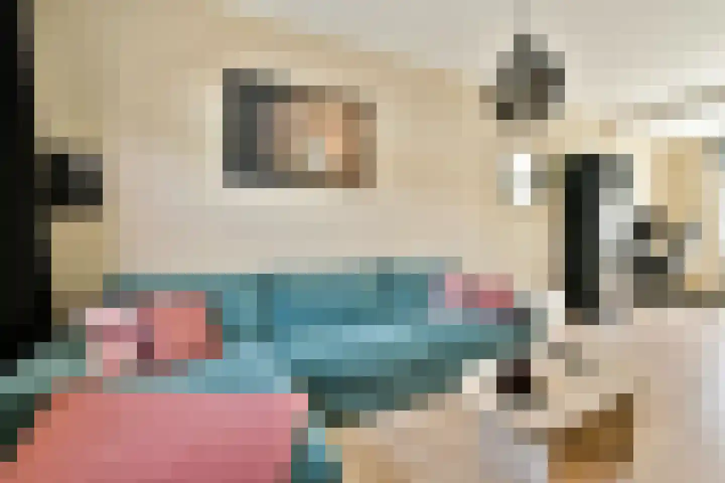 Constantijn Huygensstraat 65 Gouda thumbnail 8