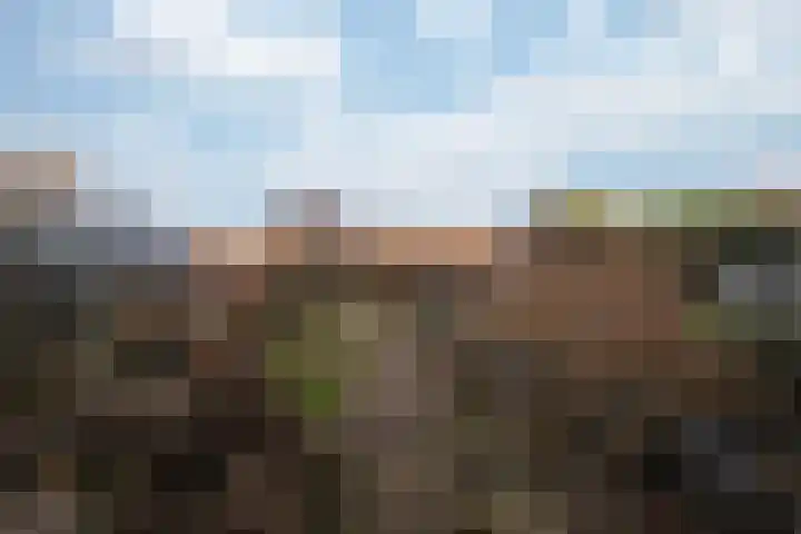 Constantijn Huygensstraat 69 Brunssum thumbnail 25