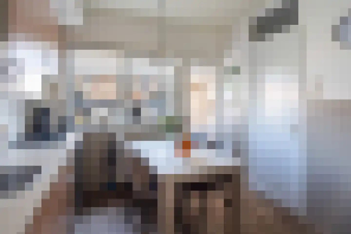 Constantijn Huygensstraat 70 Gouda thumbnail 19