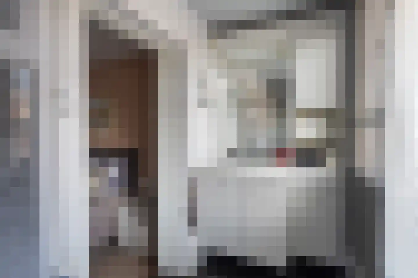 Constantijn Huygensstraat 70 Gouda thumbnail 37