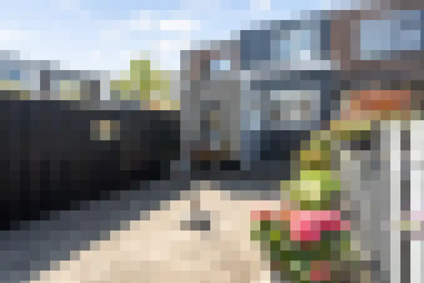 Constantijn Huygensstraat 70 Gouda thumbnail 39