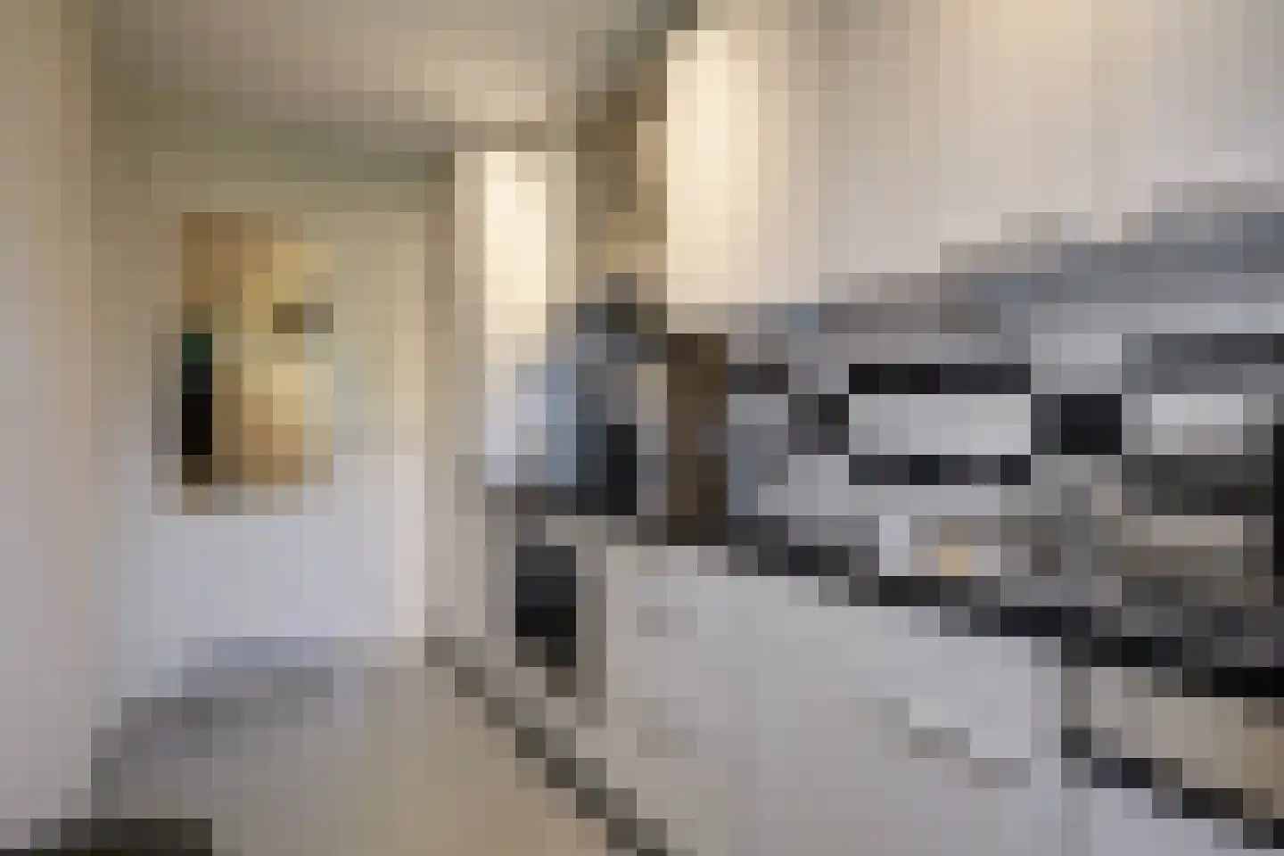 Constantijn Huygensstraat 72 Deventer thumbnail 16