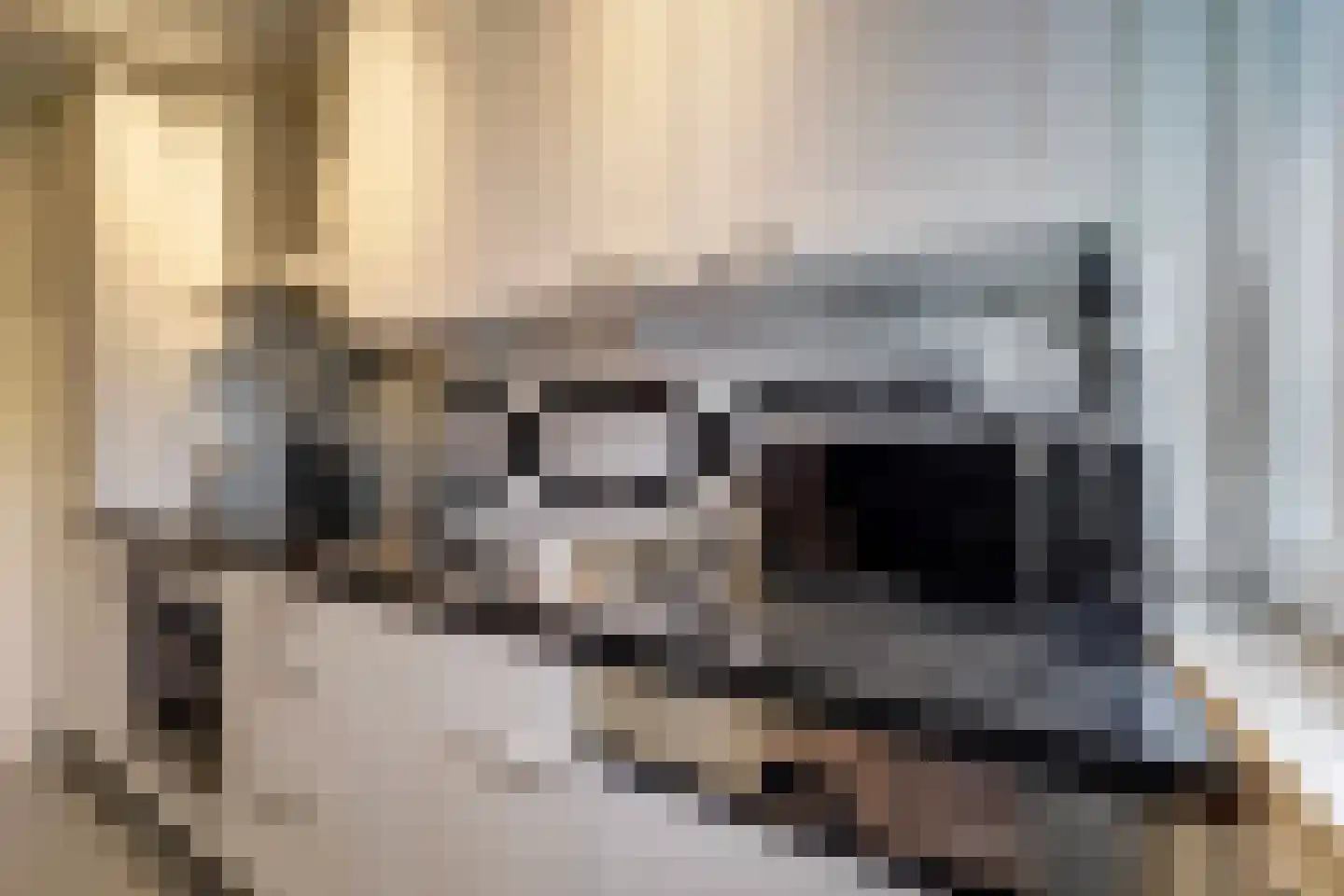 Constantijn Huygensstraat 72 Deventer thumbnail 17