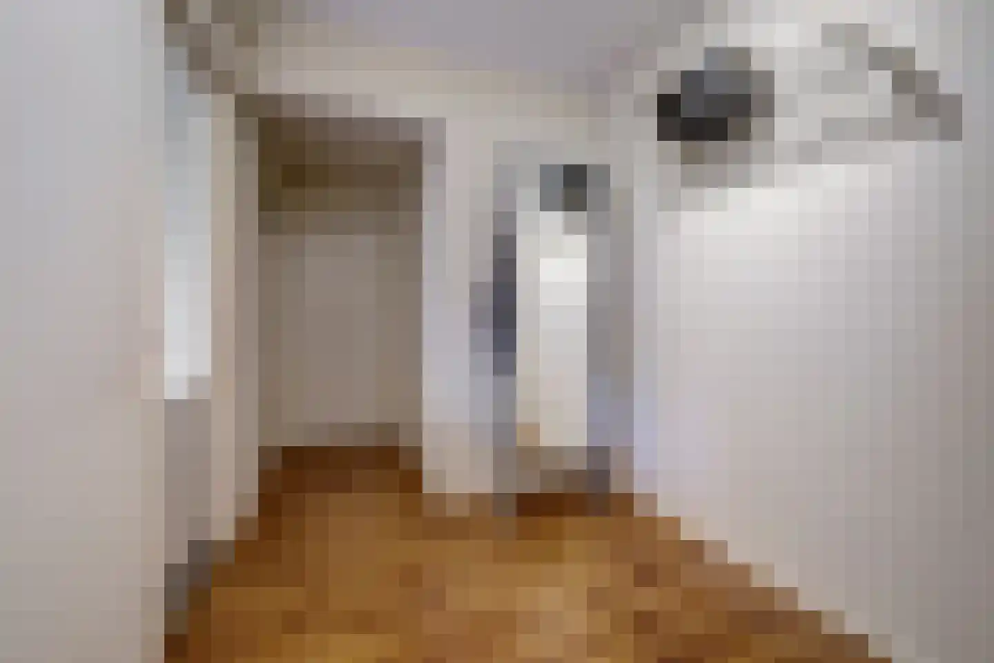 Constantijn Huygensstraat 72 Deventer thumbnail 7