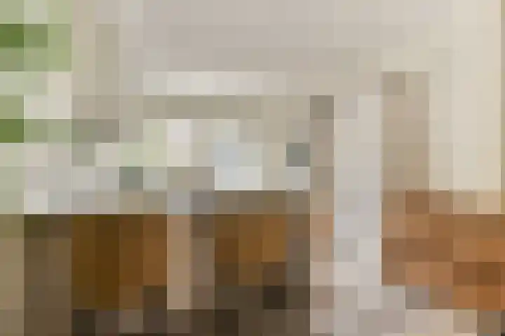 Constantijn Huygensstraat 80 Gouda thumbnail 12