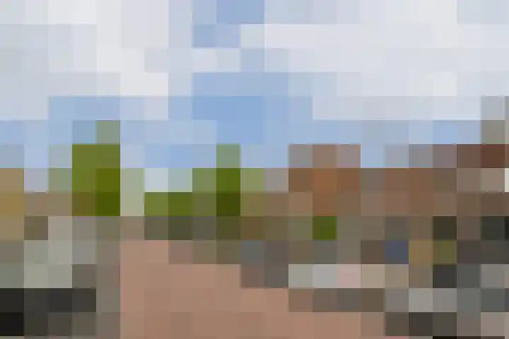 Constantijn Huygensstraat 80 Gouda thumbnail 6