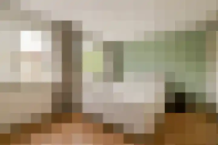 Constantijn Huygensstraat 88 Gouda thumbnail 12