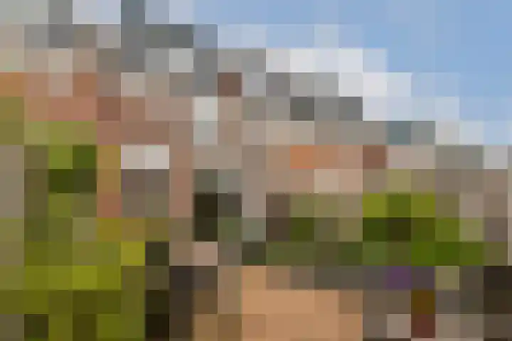 Constantijn Huygensstraat 88 Gouda thumbnail 22
