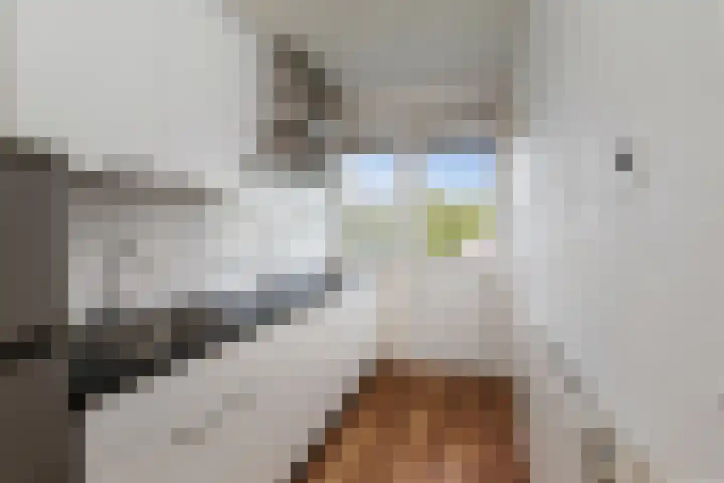 Constantijn Huygensstraat 92 Deventer thumbnail 13