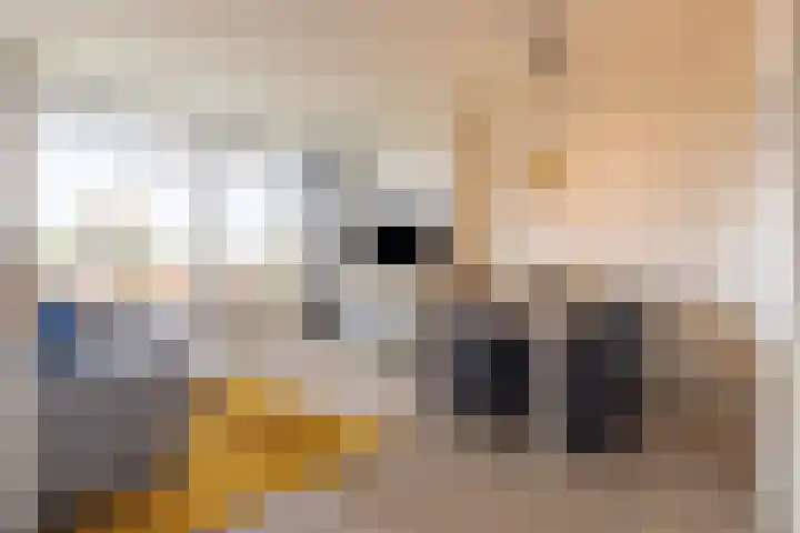 Constantijn Huygensstraat 96 Deventer thumbnail 6