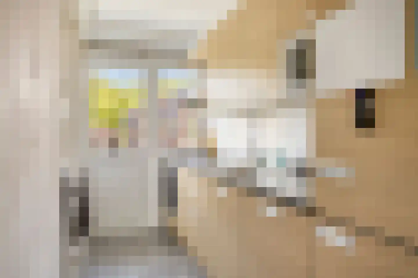 Constantijn Huygensstraat 98 Deventer thumbnail 16