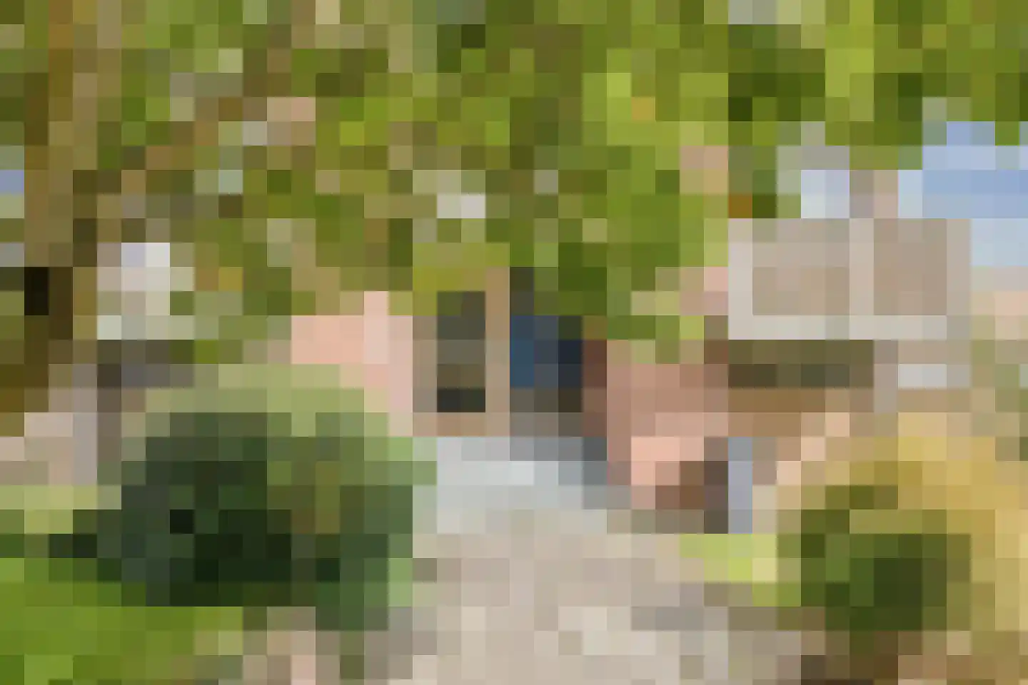 Constantijn Huygensstraat 98 Deventer thumbnail 8