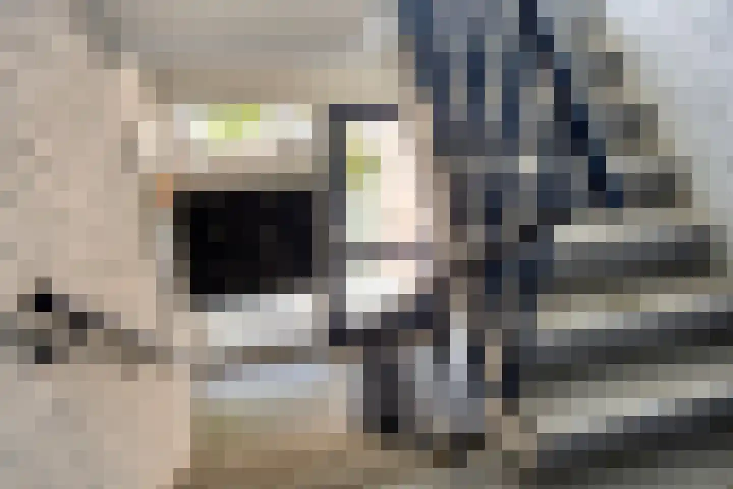 Constantijn Huygensstraat 98 Deventer thumbnail 9