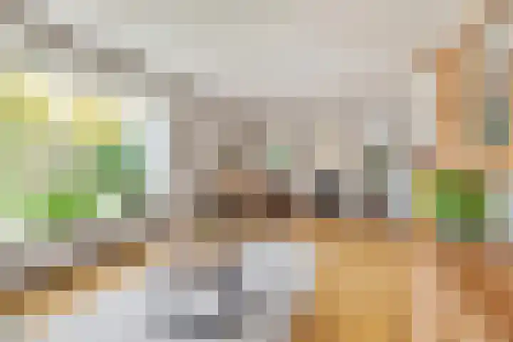 Constantijn Huygensstraat 98 Heemskerk thumbnail 4