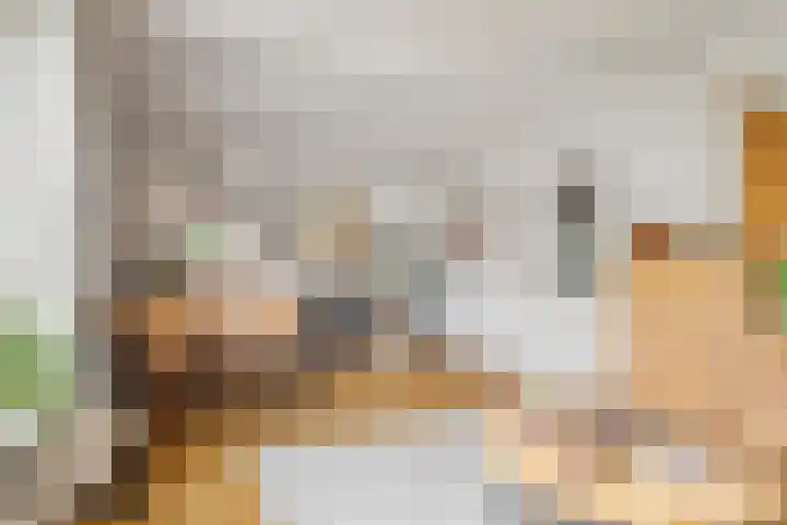 Constantijn Huygensstraat 98 Heemskerk thumbnail 5