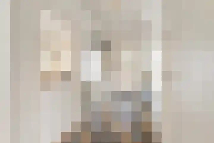 Constantijn Huygensstraat 98 Heemskerk thumbnail 6