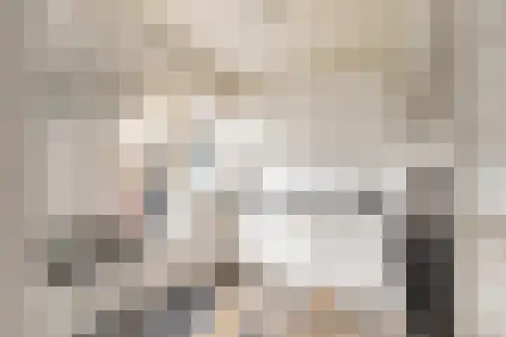 Constantijn Huygensstraat 98 Heemskerk thumbnail 7