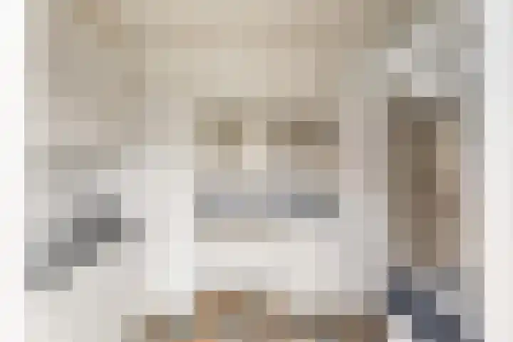Constantijn Huygensstraat 98 Heemskerk thumbnail 8