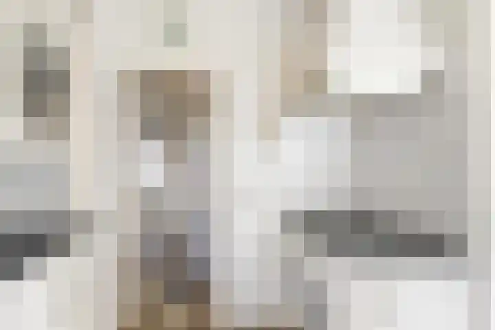 Constantijn Huygensstraat 98 Heemskerk thumbnail 9